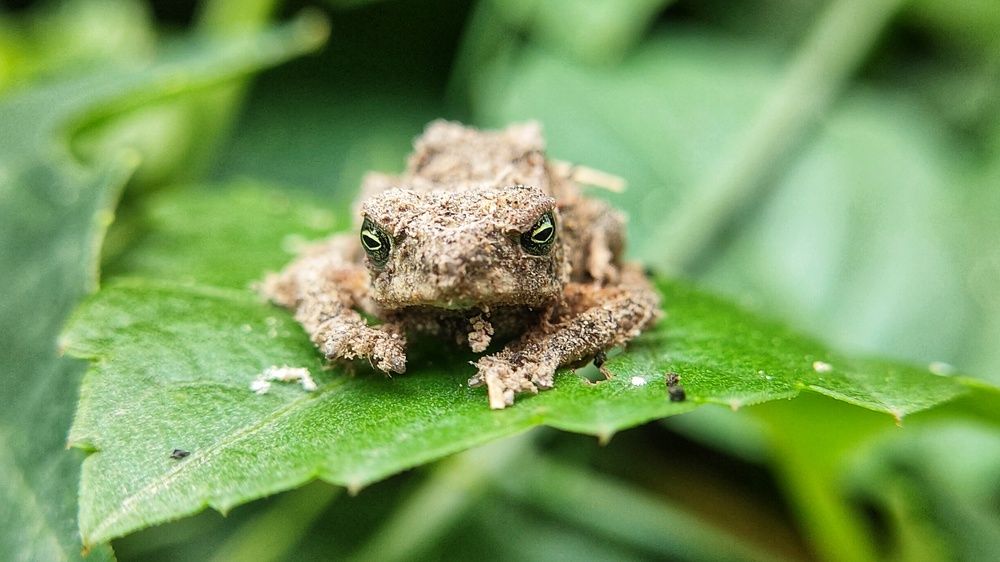 Photograph by Rounak hazra