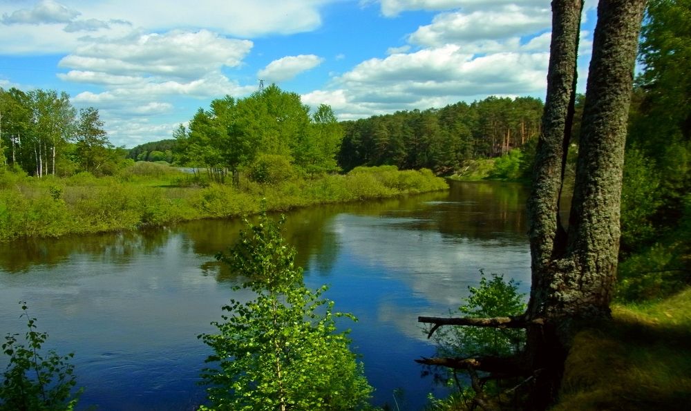 Photograph by леонид натапов