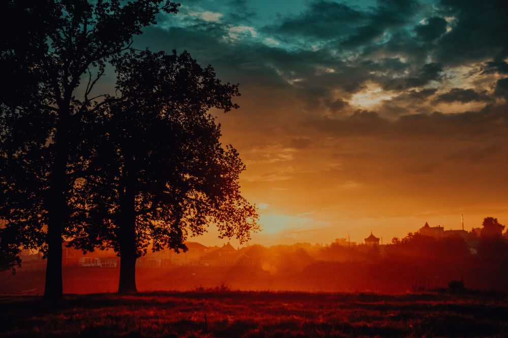 Photograph by Артём Аниськин