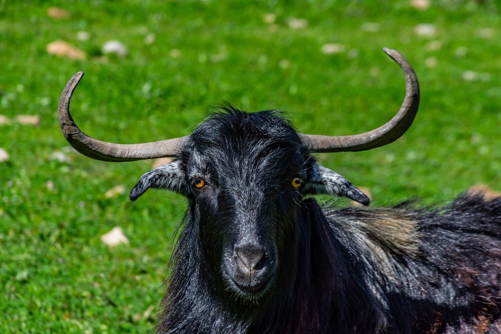 Photograph by MORTEZA ASALI