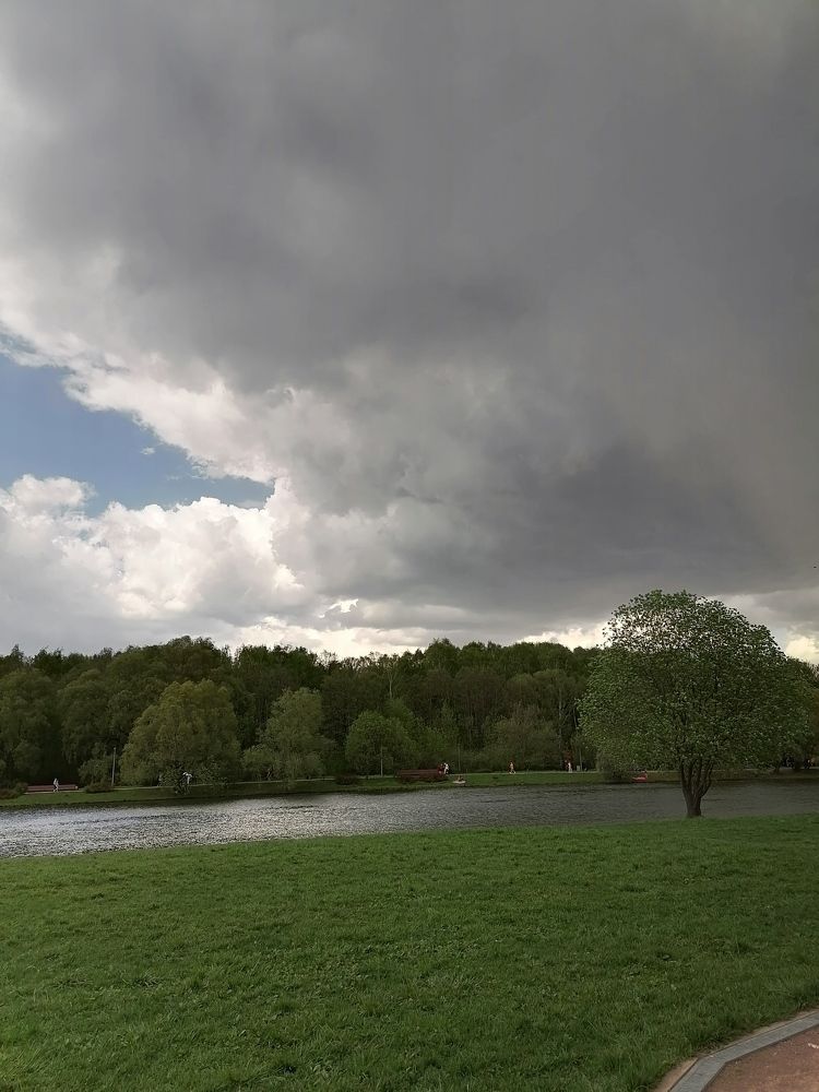 Природный парк в Москве