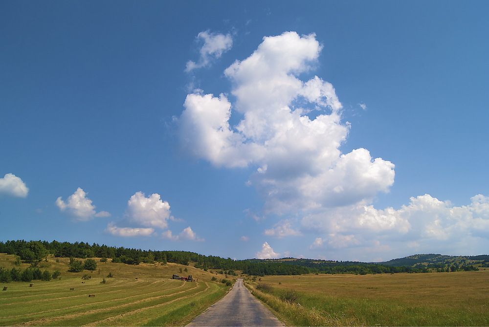 Photograph by Екатерина Бахтинова