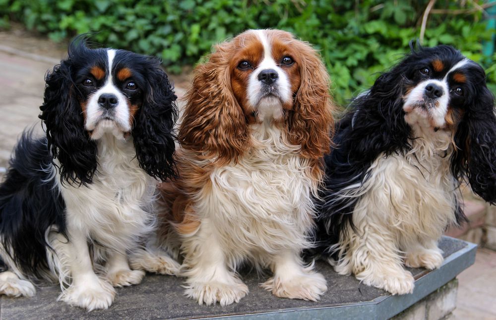 Photograph by Сергей Иванов