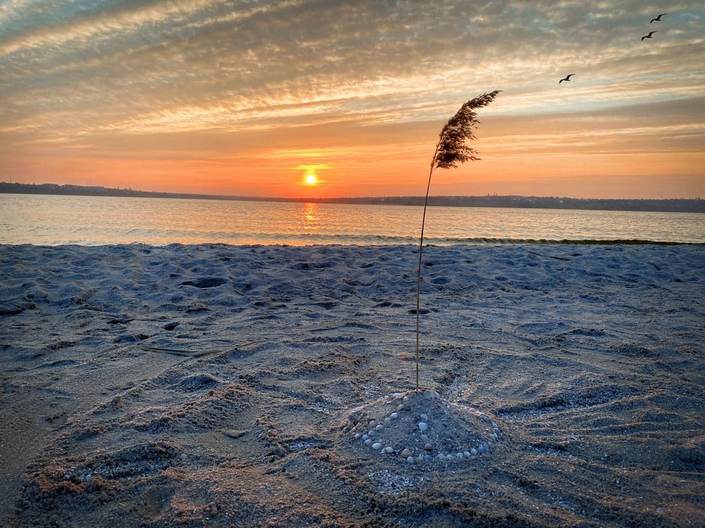 Photograph by Оксана Юсупова