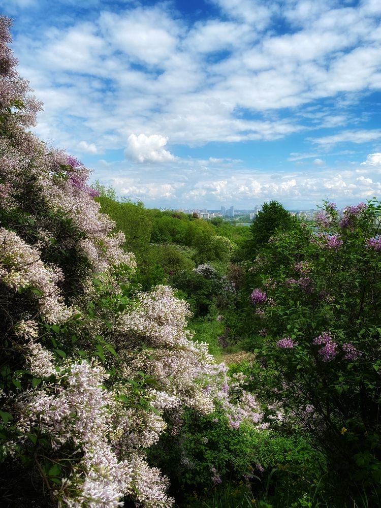 Photograph by Оксана Юсупова