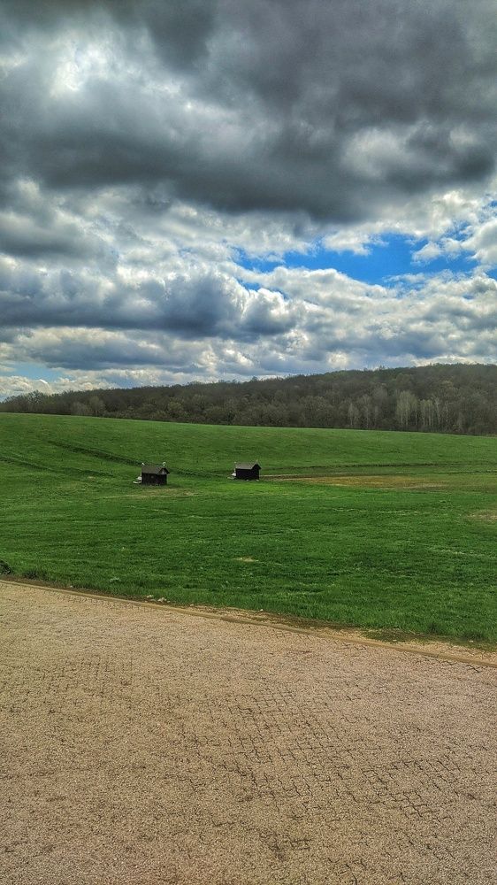 Photograph by Диана Галиуллина