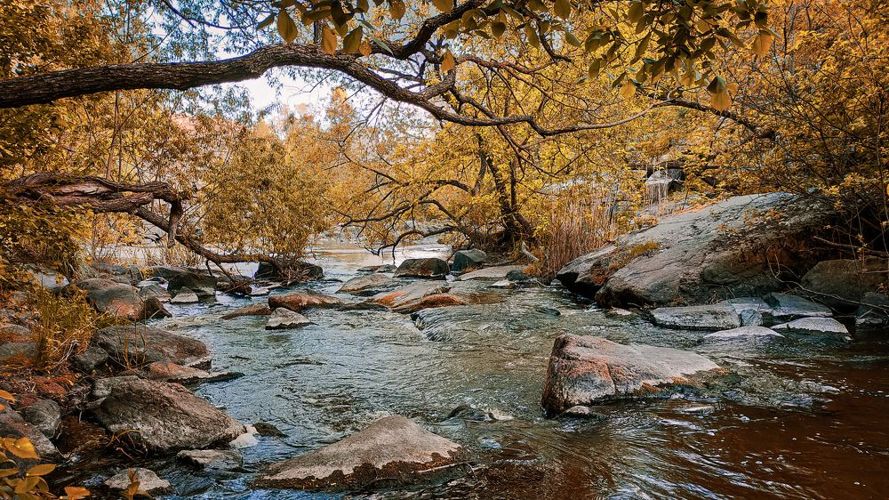 Релаксация