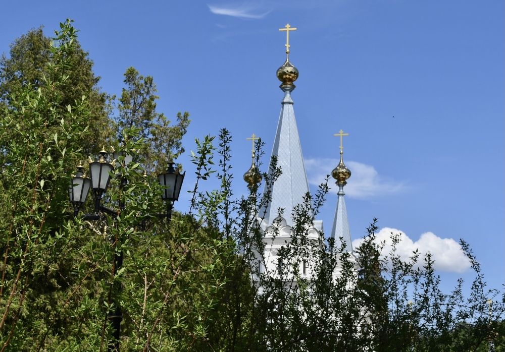 Фотография автора Vera Dobychina