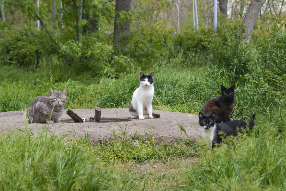 Photograph by Екатерина Бахтинова