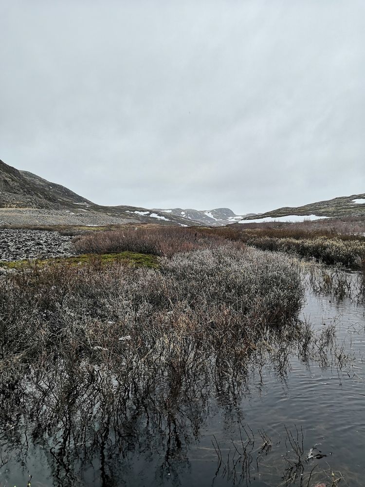 Photograph by Елена Югова