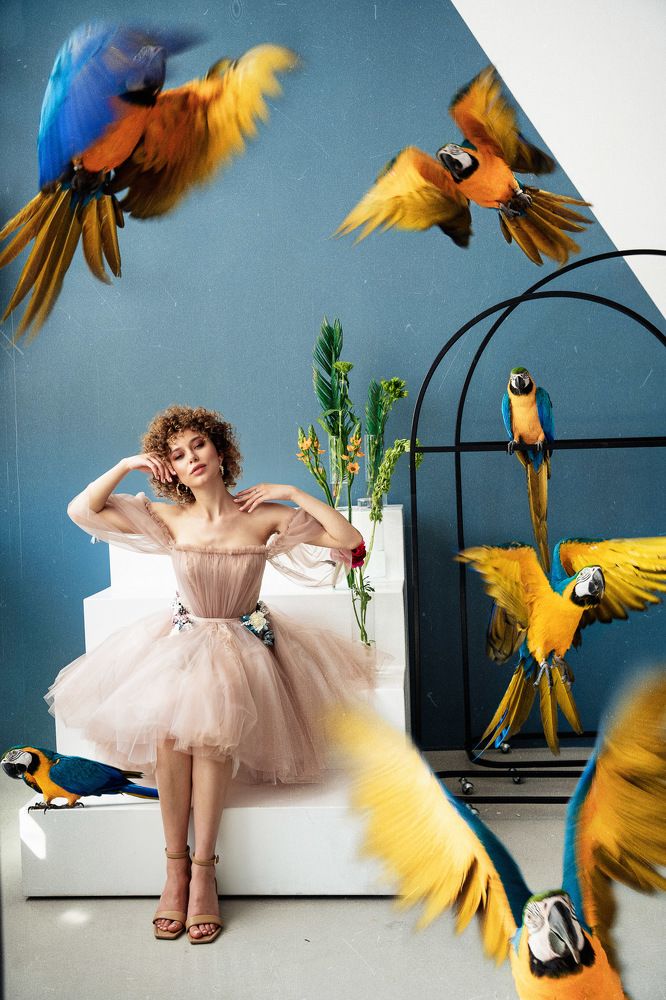 Фотография автора Александр Потапкин