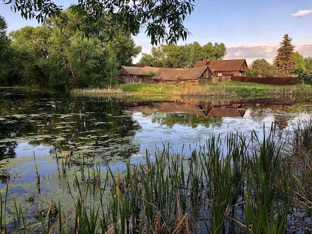 Photograph by Шестакова Наталья