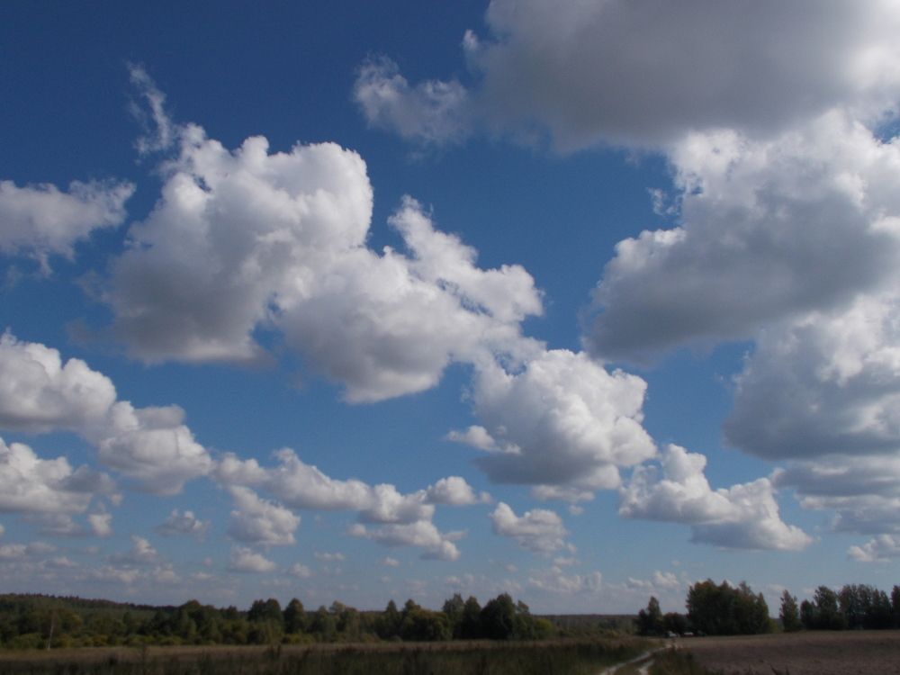 Photo #6138447