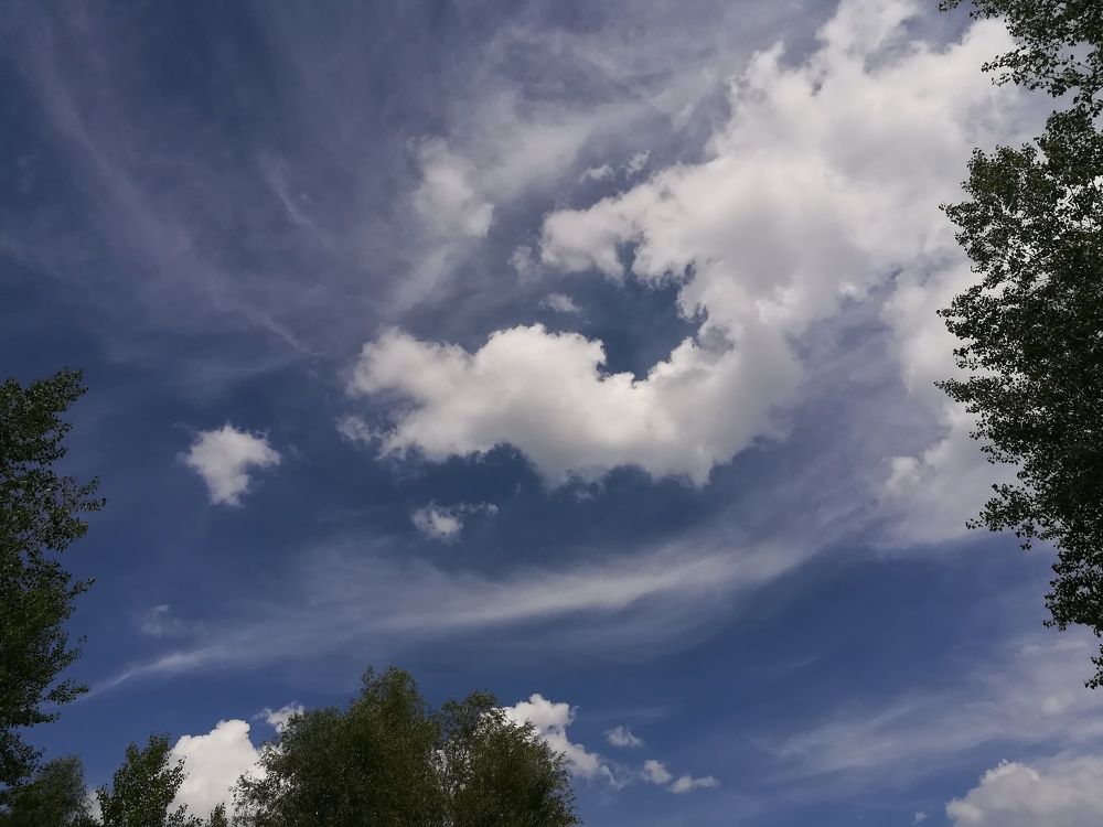 Photograph by Светлана Шибаршина