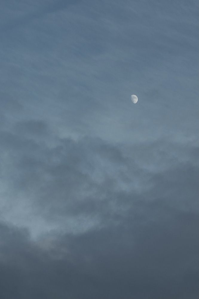 Photograph by Iuliia Dumchenko