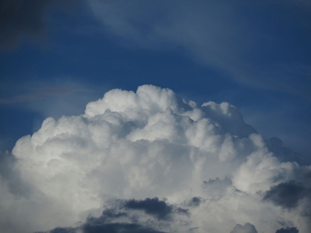 Photograph by Светлана Шибаршина