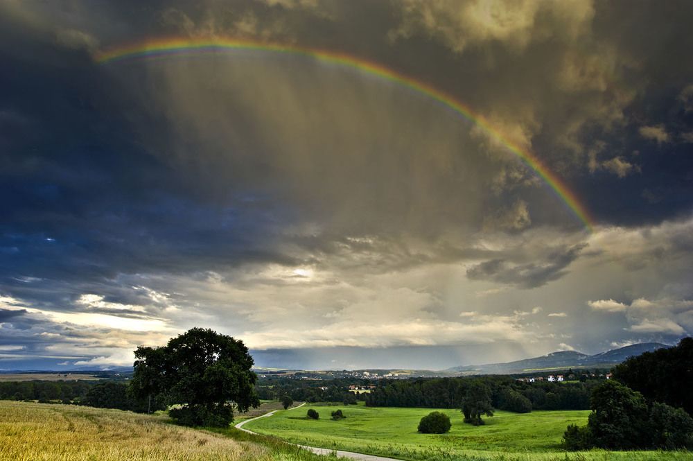 Photograph by Peter Hennig