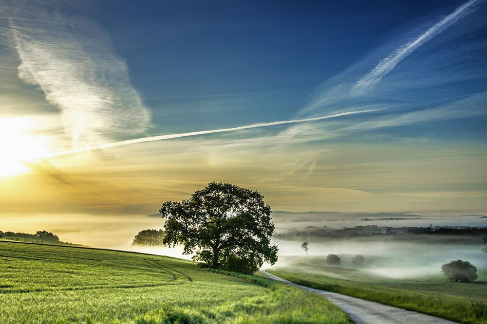 Photograph by Peter Hennig