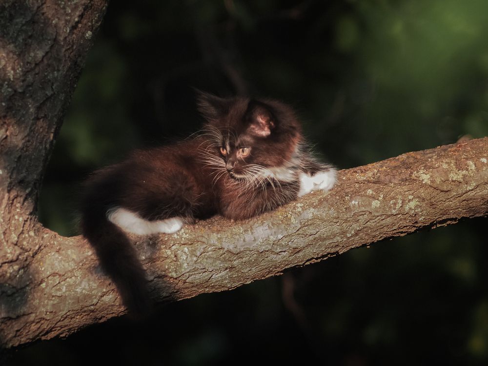 Photograph by Светлана Шибаршина