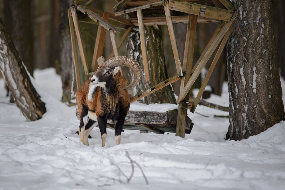 Photograph by Анна Пикаленко