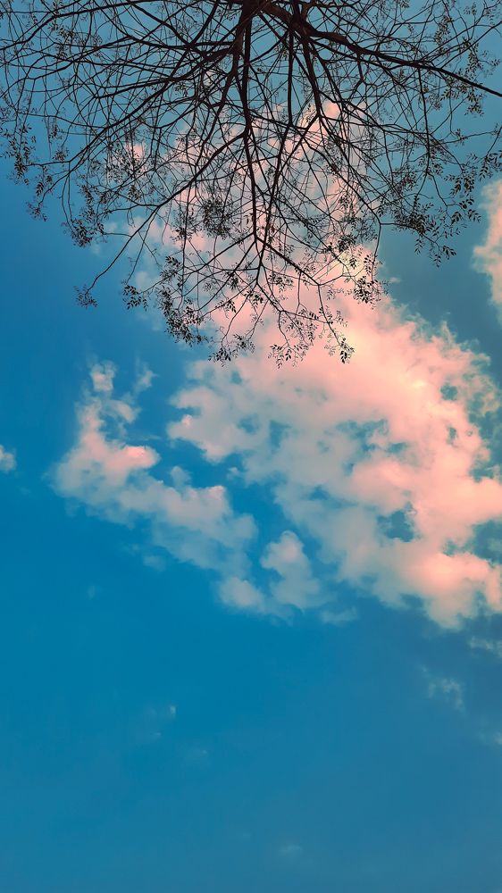 Photograph by Abhay Khapre