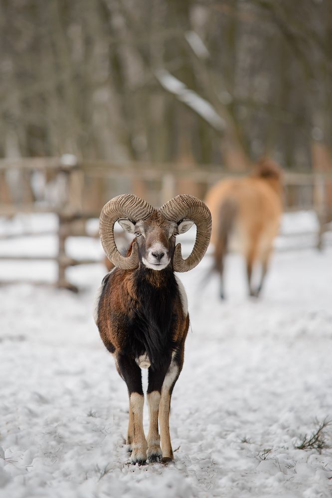 Photograph by Анна Пикаленко