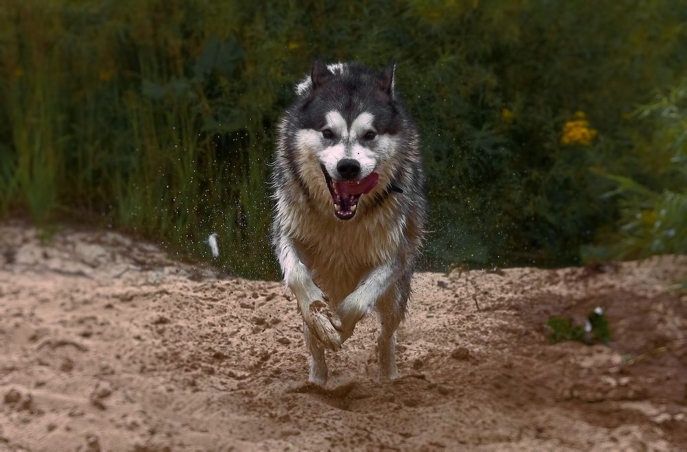 Photograph by Лев Постнов