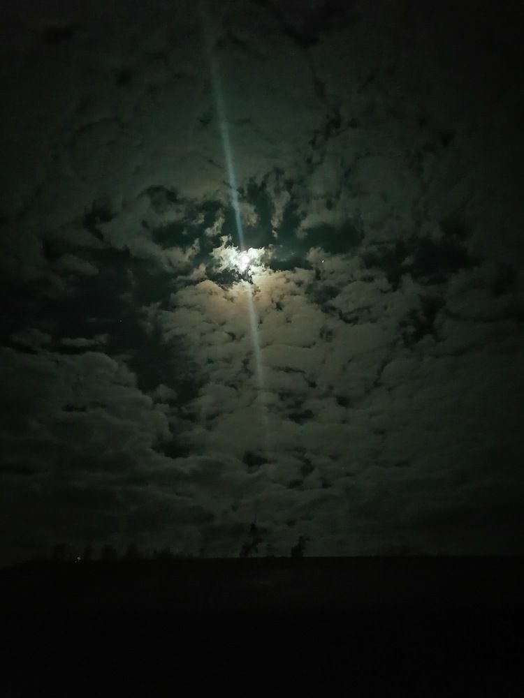 Photograph by Регина Ахметова