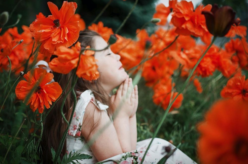 Photograph by Светлана Коваль