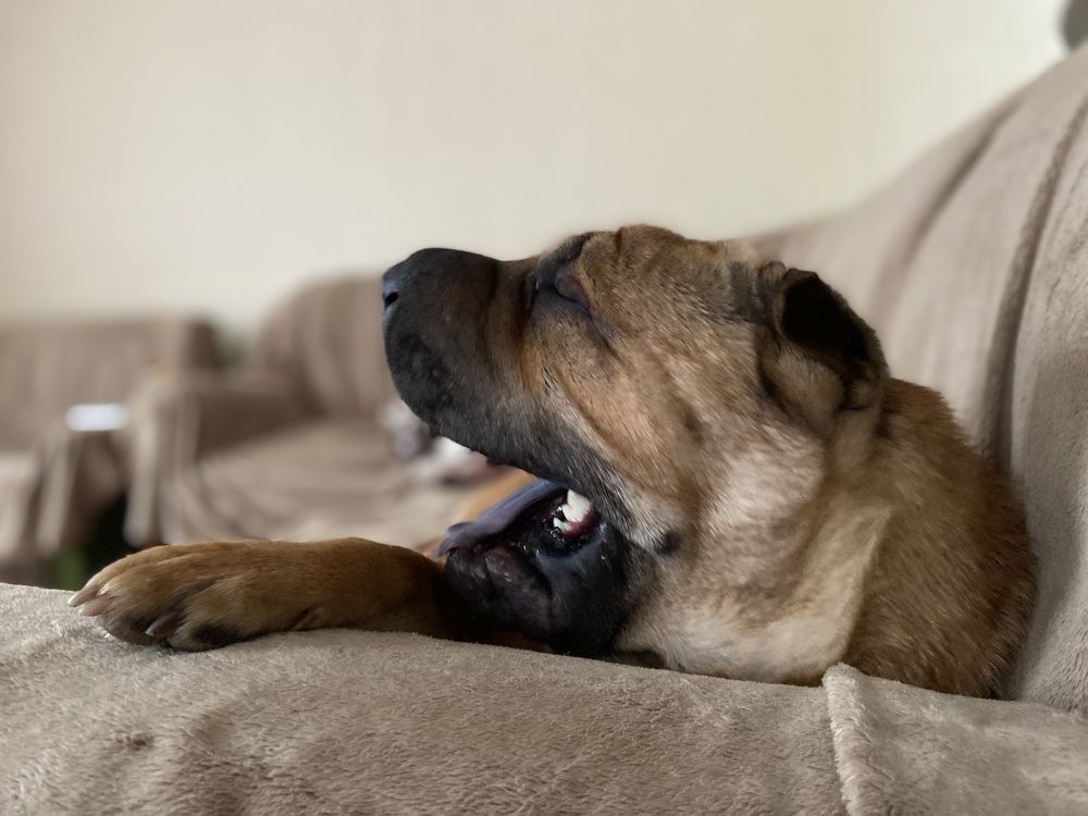 Photograph by Светлана Коваль