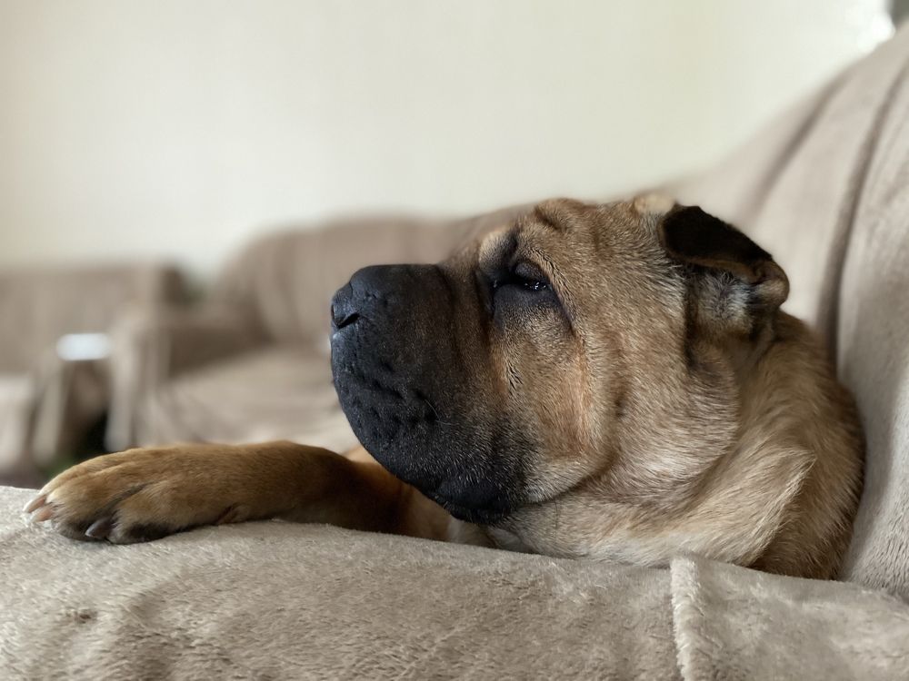 Photograph by Светлана Коваль