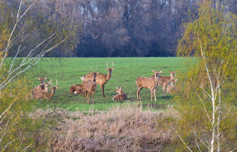 Photograph by Крепак Алексей