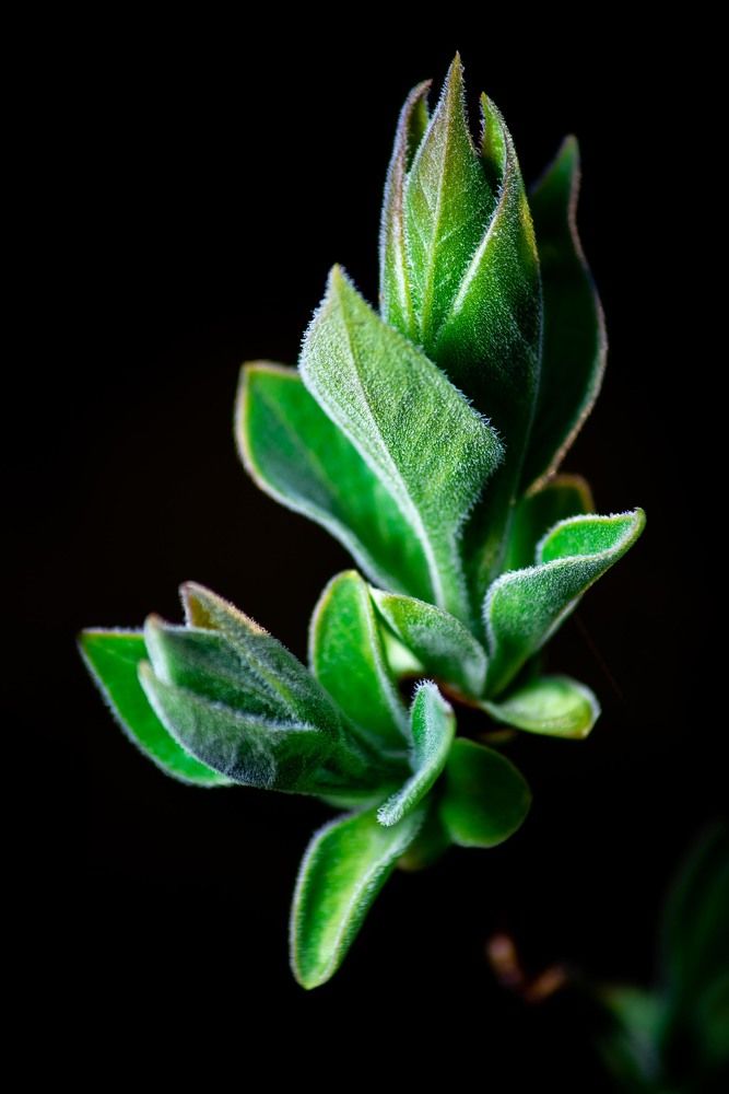 Фотография автора Aлексей Игнатьев