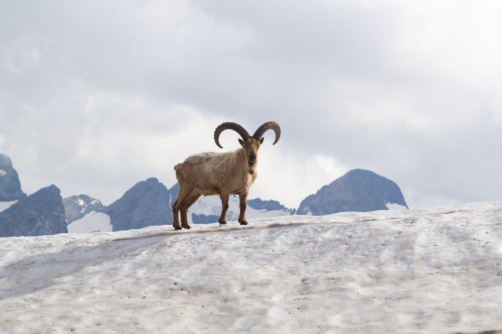 Photograph by Крепак Алексей