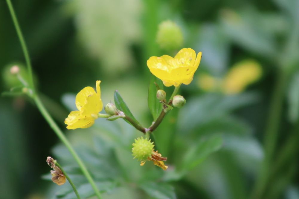 Photograph by Денис Геранькин