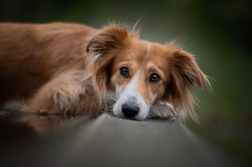 Photograph by Jakub Kudlovsky