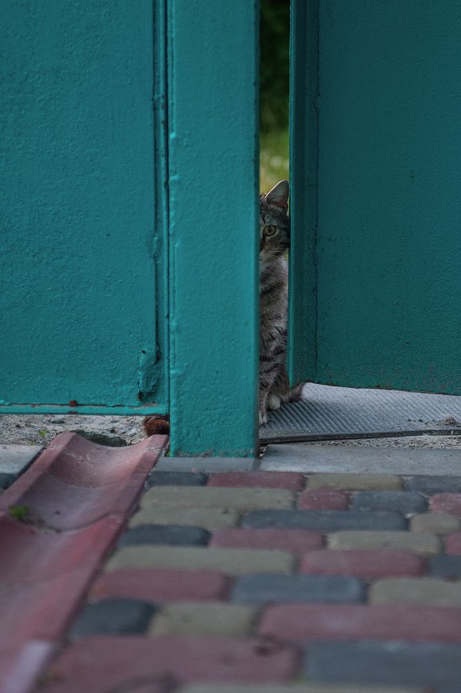 Photograph by Анна Пикаленко