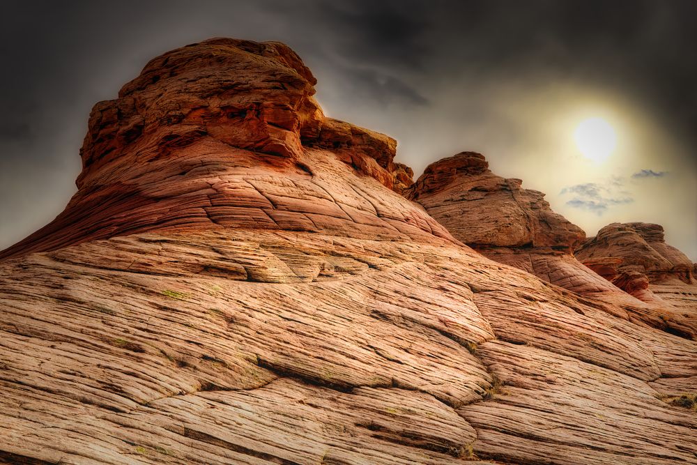 Photograph by Brian Adamson