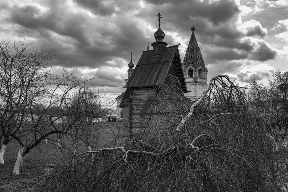 Photograph by Ольга Воронова