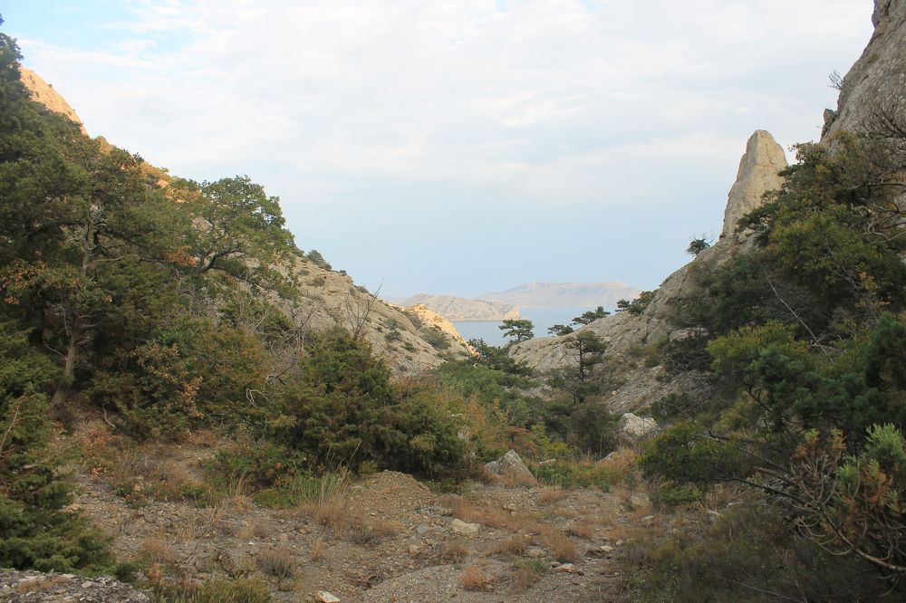 Photograph by Денис Птюшкин