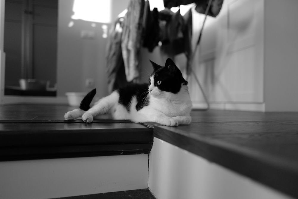 Photograph by Ольга Воронова