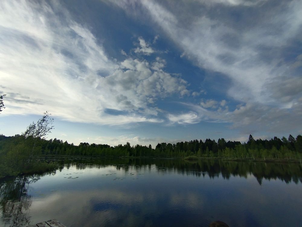 Photo #6138778