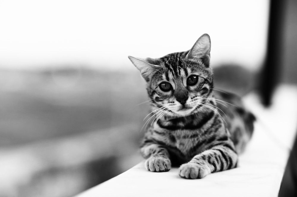 Photograph by Ландыш Фатхутдинова