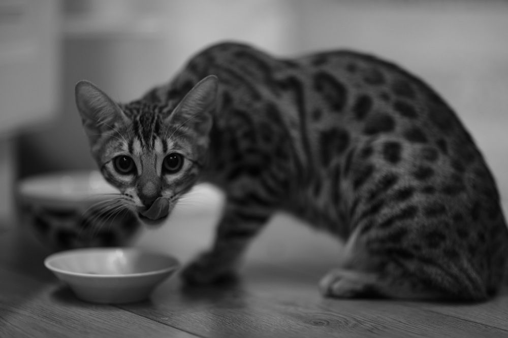 Photograph by Ландыш Фатхутдинова