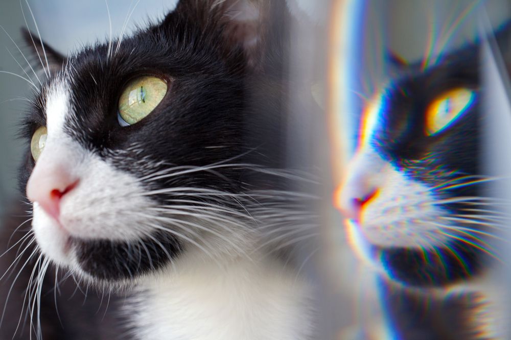 Photograph by Юлия Гаранина