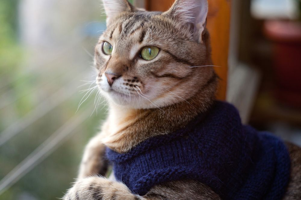 Photograph by Юлия Гаранина