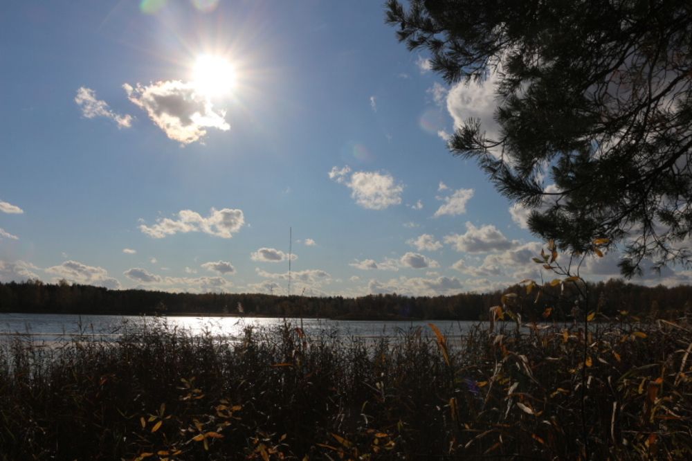 Photograph by Игорь Соколов