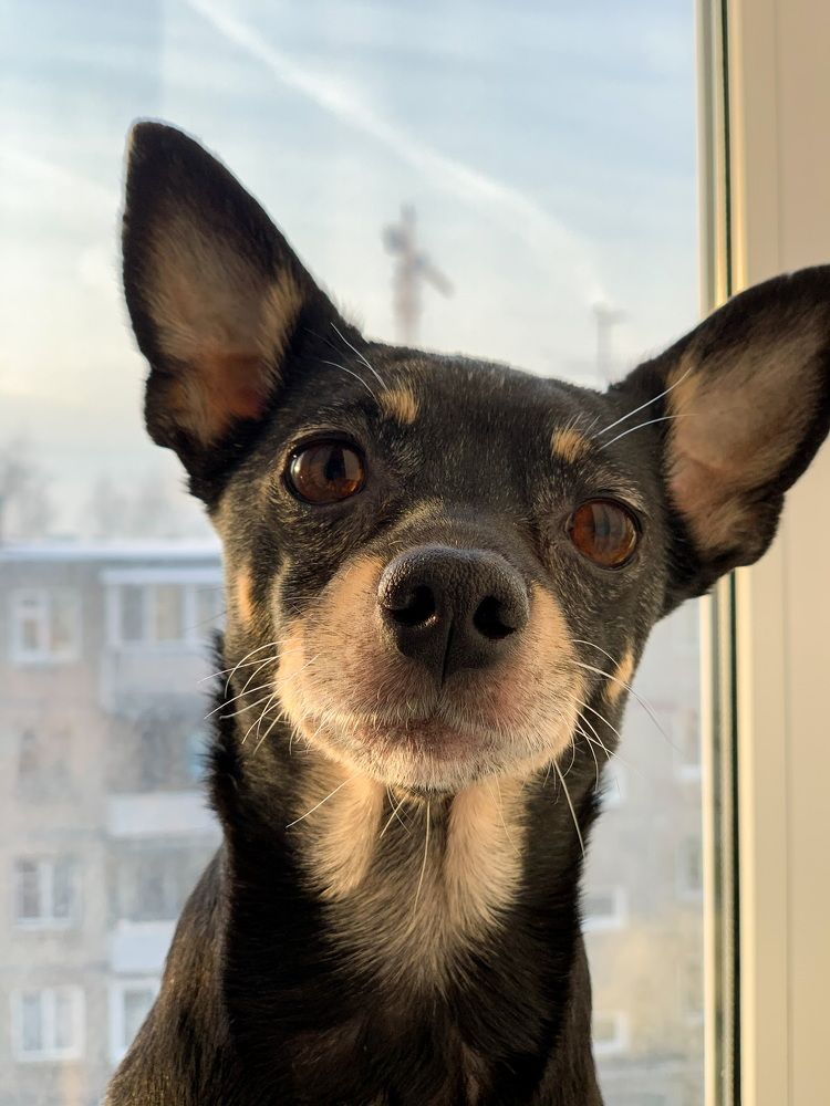 Photograph by Данила Мельников