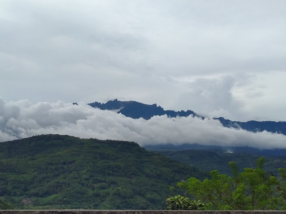 Photo #6138930