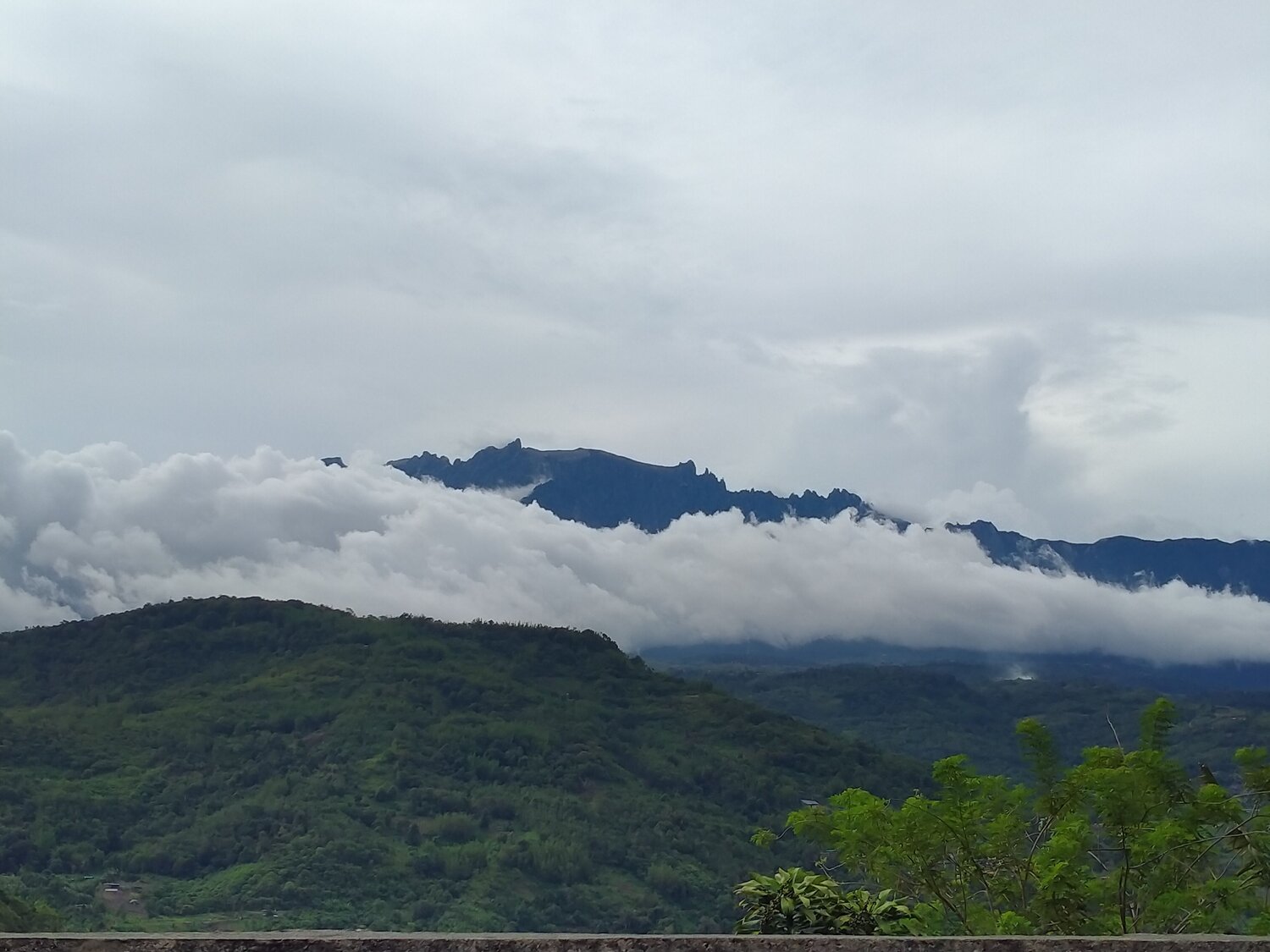 Photo #6138930